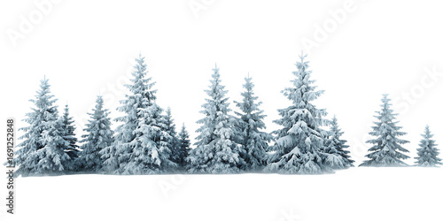 Fototapeta Naklejka Na Ścianę i Meble -  Snow covered evergreen trees winter forest landscape isolated on a transparent background