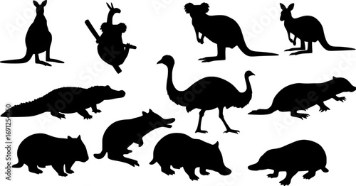 Australian animals silhouettes including kangaroos, koalas, emus, crocodiles, wombats, and platypuses. Ideal for wildlife designs, zoo themes, and educational materials