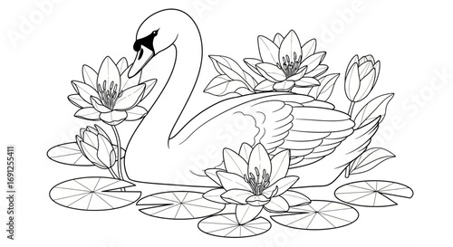 Swan surrounded by water lilies illustration black and white drawing style.