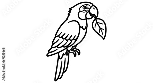 Line drawing of a parrot holding a leaf in its beak isolated.