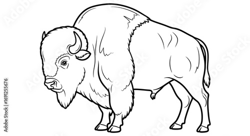 Line drawing of a large bison standing facing forward on a white background.