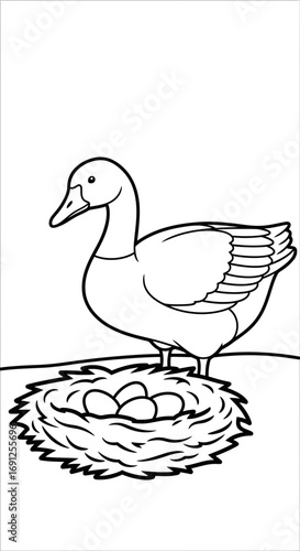Line art illustration of a duck sitting on a nest with eggs.