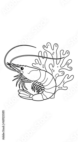 Line art illustration of a shrimp or prawn with coral reef element.
