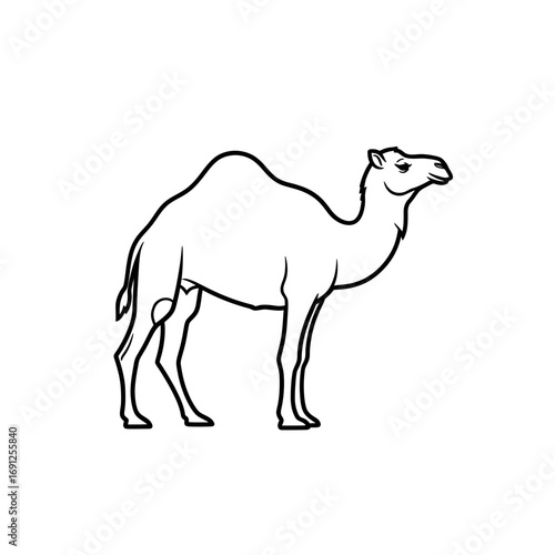 Line drawing of a camel standing isolated on a white background.