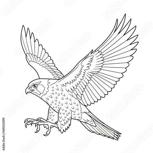 Line drawing of a falcon with wings spread in flight against a white background.