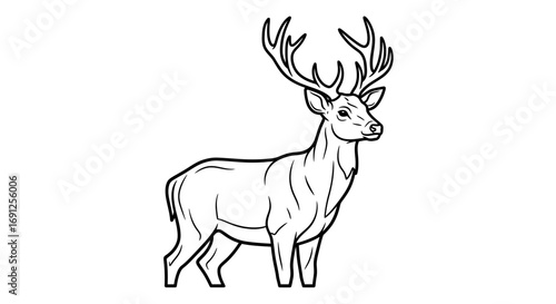 Line drawing of a deer with antlers standing on a white background.