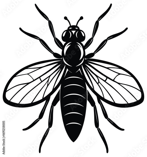 Close-up vector illustration of a black wasp isolated on a white background with a hairy body and detailed wings