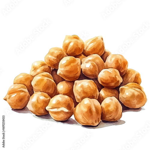Chickpeas, watercolor clipart vector, isolated on a white background.