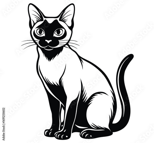A cute black and white vector illustration of a sitting pet cat