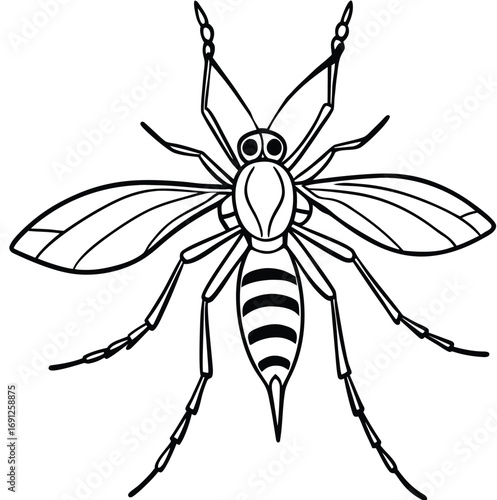 Vector illustration of a black wasp and spider, a predator and arachnid insect, and bug from nature