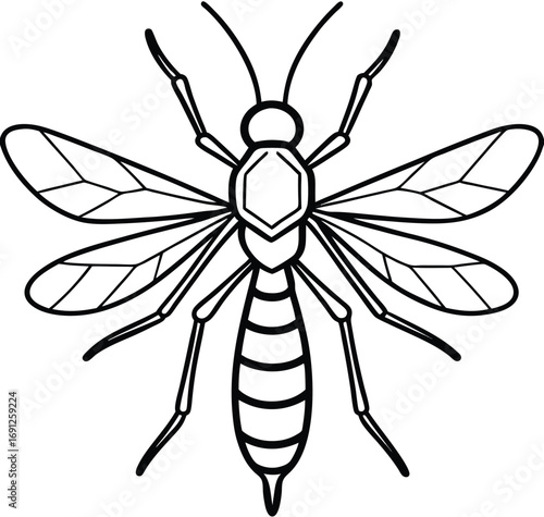 Flower and spider vector illustration with nature and floral design elements