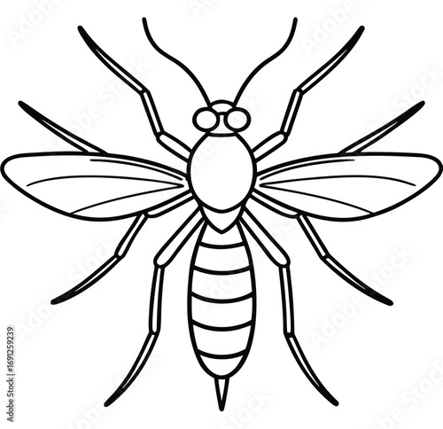Vector illustration of a mosquito isolated on white background