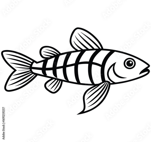 Colorful vector illustration of a fish on a white background