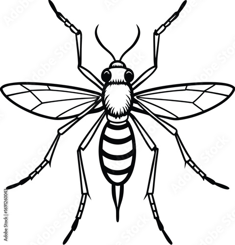 Vector illustration of a mosquito and wasp isolated on white background