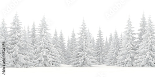Snow covered pine trees on white background png isolated on a transparent background