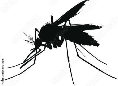 Mosquito vector hand drawn in nature, mosquito silhouette detailed in black — stock vector