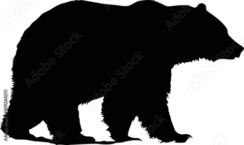 Standing vector hand drawn line art in nature, standing bear silhouette in realistic black — stock vector