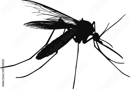 Mosquito vector hand drawn line art in nature, mosquito silhouette in minimalist black style — stock vector