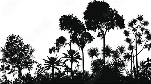 Tropical vector hand drawn in nature, tropical forest tree silhouettes in black — stock vector