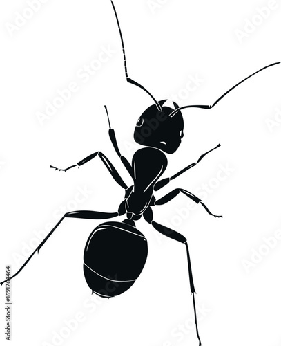 Nature vector hand drawn line art in nature, black ant silhouette in minimal flat — stock vector