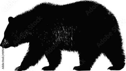Standing vector hand drawn line art in nature, standing bear silhouette in detailed black — stock vector
