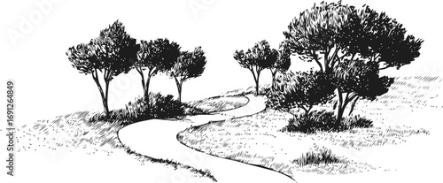 Landscape vector sketch hand drawn line art in landscape, curved path with trees in black — stock vector