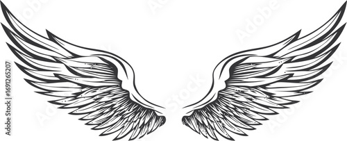 Angel vector sketch hand drawn line art in isolated, angel wings in black and white — stock vector