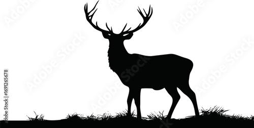 Deer vector hand drawn line art in nature, deer silhouette standing on grass — stock vector