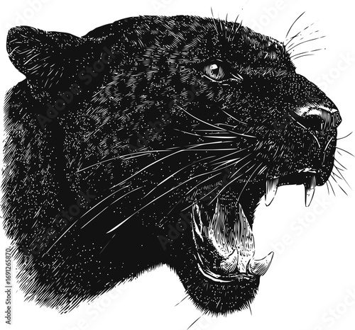 Panther vector sketch hand drawn line art in nature, black panther head roaring in detailed — stock vector