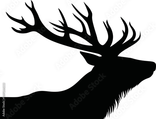Deer vector hand drawn line art in nature, deer silhouette with large antlers — stock vector