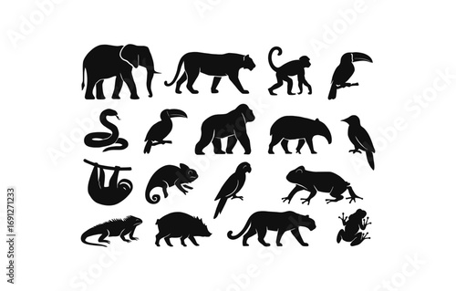 Wildlife silhouettes collection: exotic animals in bold black design