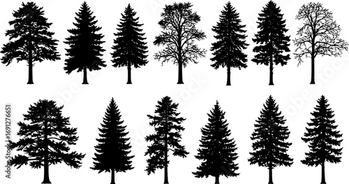 vector Set of forest isolated silhouettes
