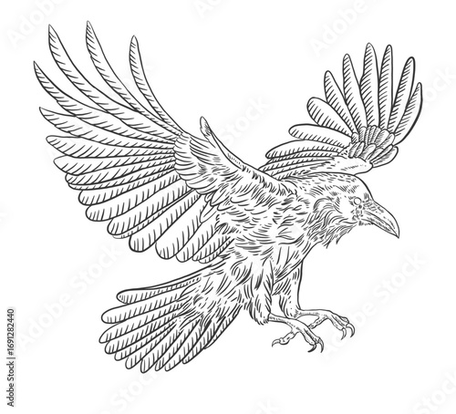 Black Crow Graphics, Raven engraving, Gothic Halloween bird drawing