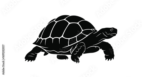 A bold black silhouette of a tortoise walking forward with determination.