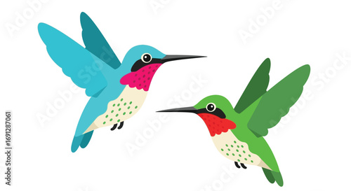 Colorful Hummingbirds Illustration
