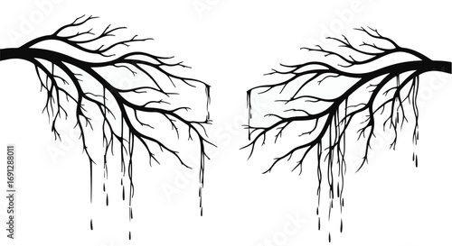 Bare tree branches with dripping icicles create a stark, wintery image