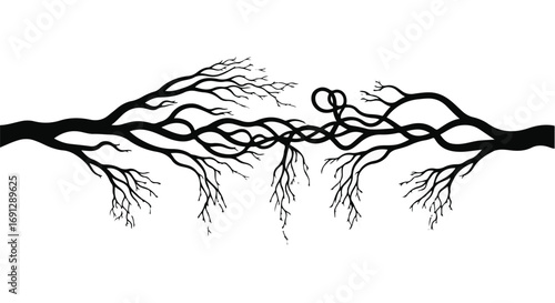 Intertwined branches symbolizing connection and growth against a stark white background