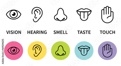 Human senses icon set. Vision eye, smell nose, hearing ear, touch hand, taste mouth with tongue. Simple line icons and black circle. Five senses of human nervous system. Vector illustration.