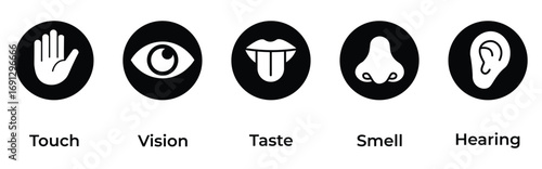 Human senses icon set. Vision eye, smell nose, hearing ear, touch hand, taste mouth with tongue. Simple line icons and black circle. Five senses of human nervous system. Vector illustration.