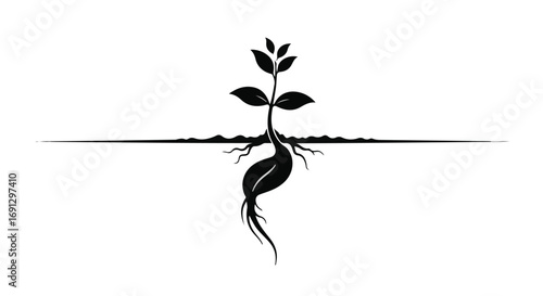 Symbolic illustration of a plant growing from a seed with roots, representing new life and growth.
