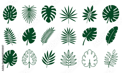 ropical leaves, palm leaves silhouettes, diverse collection, black shapes, design elements, artistic embellishments, leaf vector