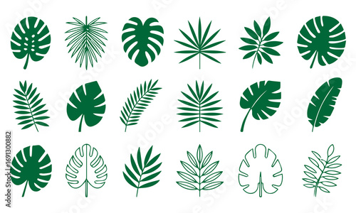 ropical leaves, palm leaves silhouettes, diverse collection, black shapes, design elements, artistic embellishments, leaf vector