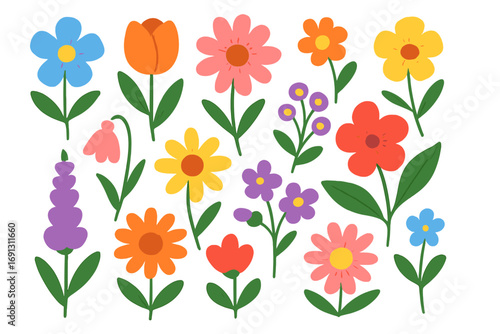 Set of cute colorful flowers. Vector cartoon illustration. Various blooming plants. Floral design elements for spring and summer. Simple botanical flat graphic collection.