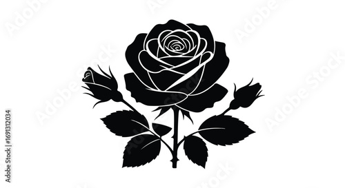 Elegant black rose with buds and leaves on a white background, symbolizing beauty and mystery.