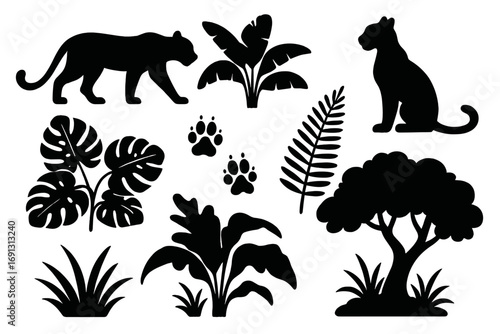 Jungle animal silhouette set with panther and tropical plants. Vector collection of black safari wildlife elements like jaguar, monstera leaf, palm tree, and paw prints.