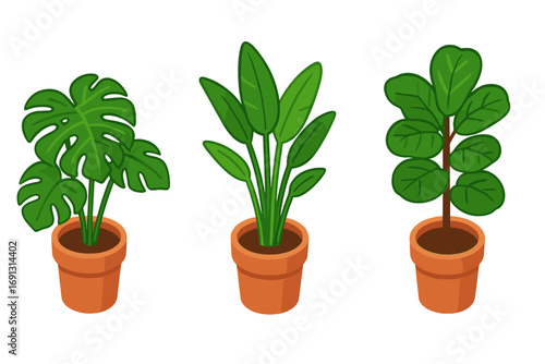 Indoor plant icon set. Isometric vector illustration of tropical houseplants in pots. Collection with monstera, bird of paradise, and fiddle leaf fig for home decor concepts.