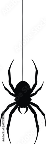 Silhouette Spider: A chilling silhouette of a spider, suspended from a slender thread, evokes a sense of eerie anticipation and the quiet drama of nature. 