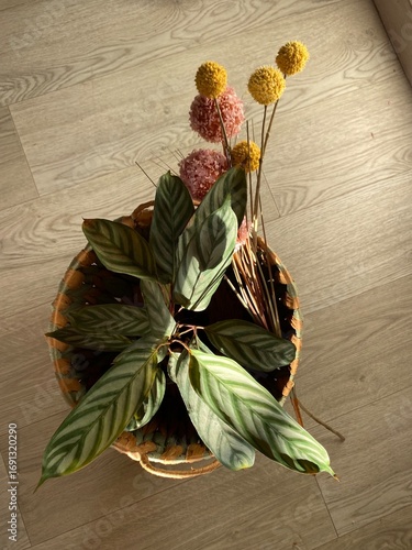 bouquet of flowers