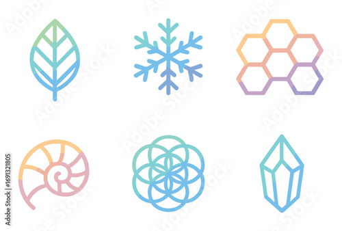 Nature elements silhouette icon set. featuring leaf, snowflake, honeycomb, nautilus, flower, crystal.