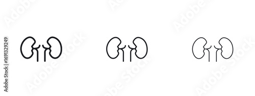 Kidneys icon vector Logo Designs - Stock vectors.